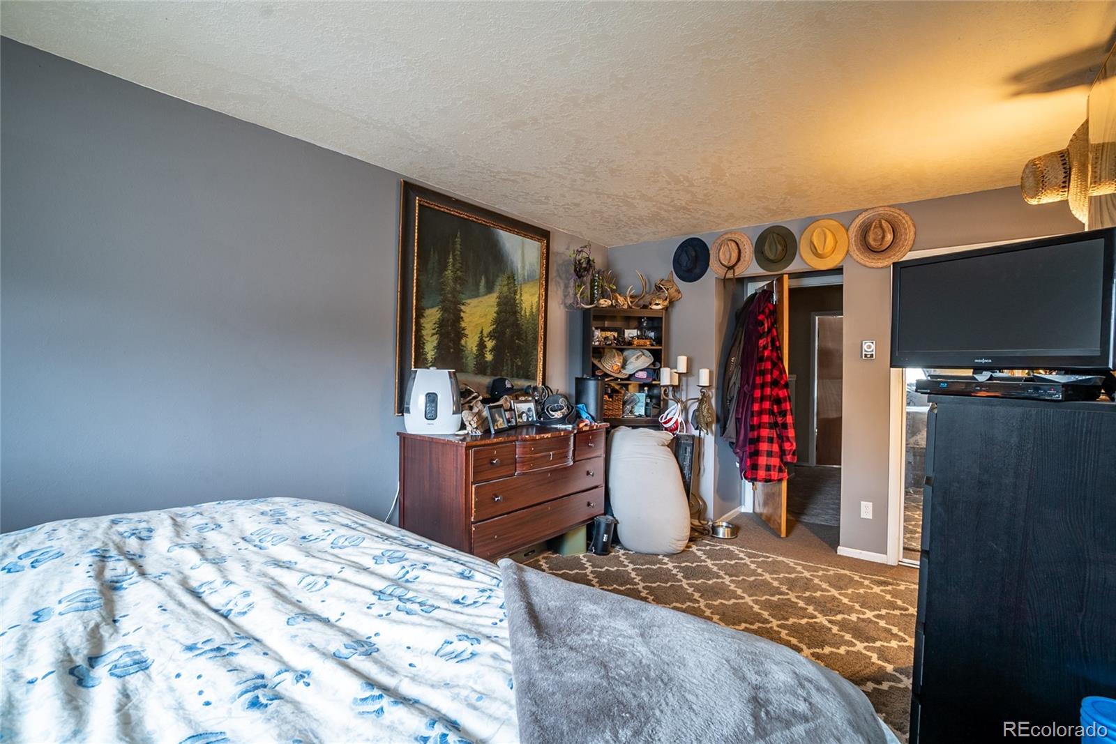 MLS Image #9 for 617  belford street,frisco, Colorado