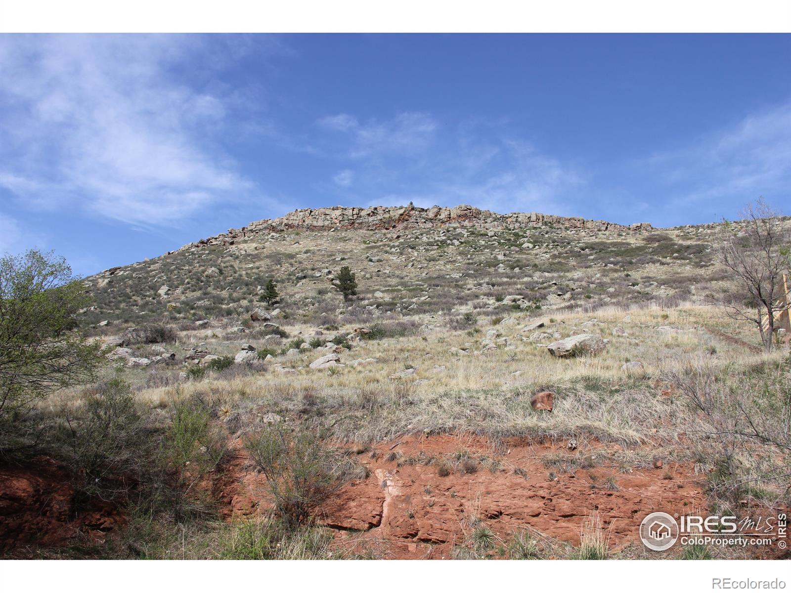 MLS Image #4 for 408  wark avenue,berthoud, Colorado