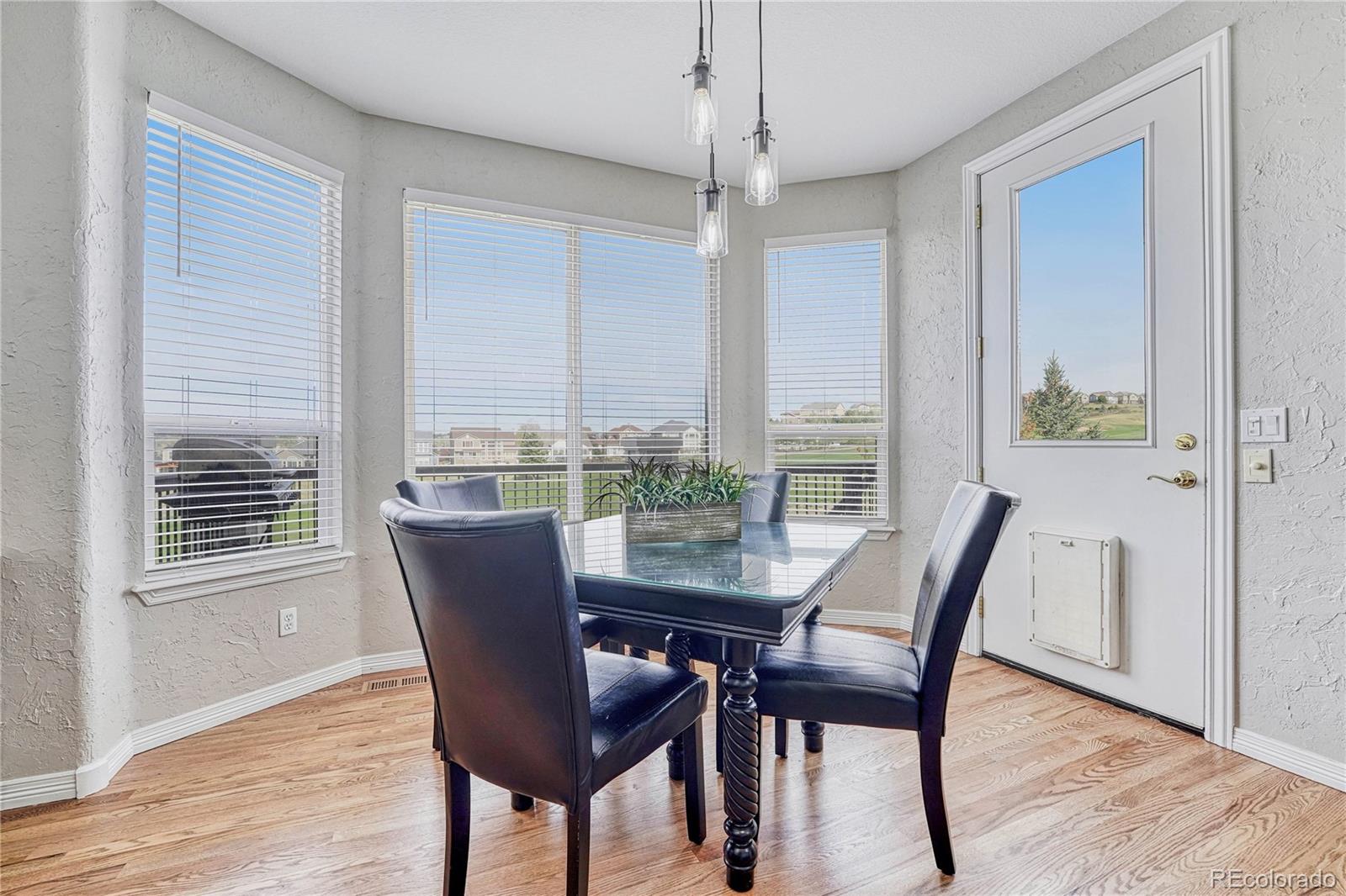 MLS Image #12 for 11419  canterberry lane,parker, Colorado