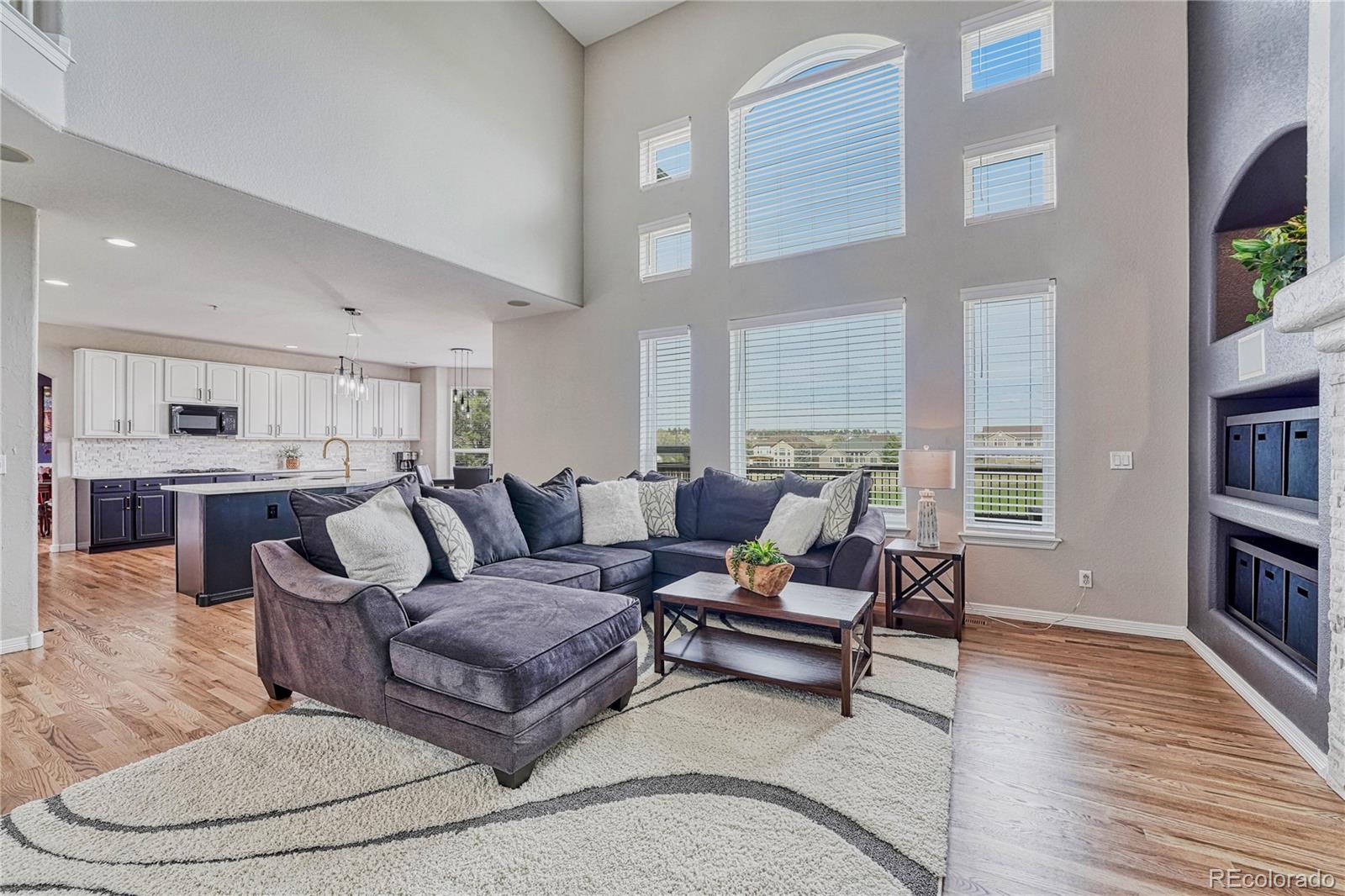 MLS Image #14 for 11419  canterberry lane,parker, Colorado