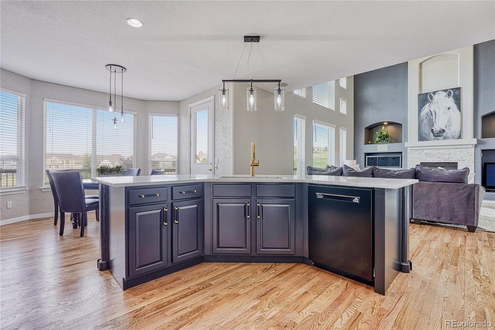 MLS Image #2 for 11419  canterberry lane,parker, Colorado