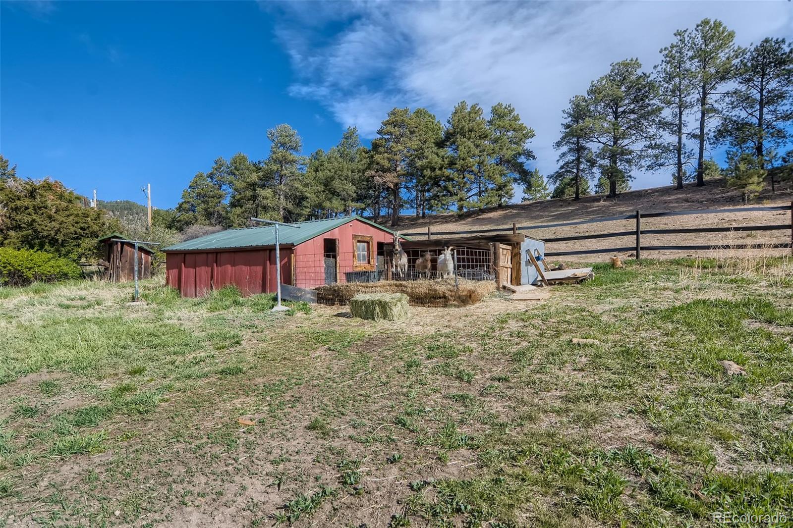 MLS Image #31 for 13350 s perry park rd ,larkspur, Colorado