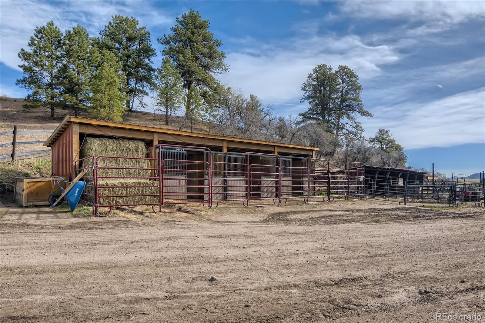 MLS Image #33 for 13350 s perry park rd ,larkspur, Colorado