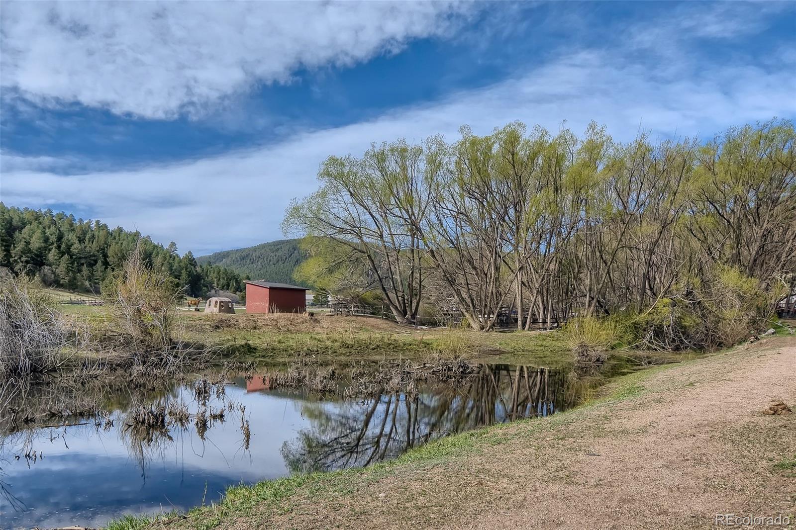 MLS Image #34 for 13350 s perry park rd ,larkspur, Colorado