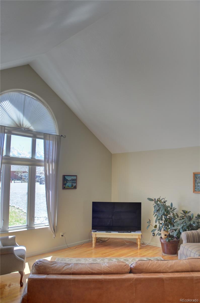 MLS Image #25 for 108  creekside court,buena vista, Colorado