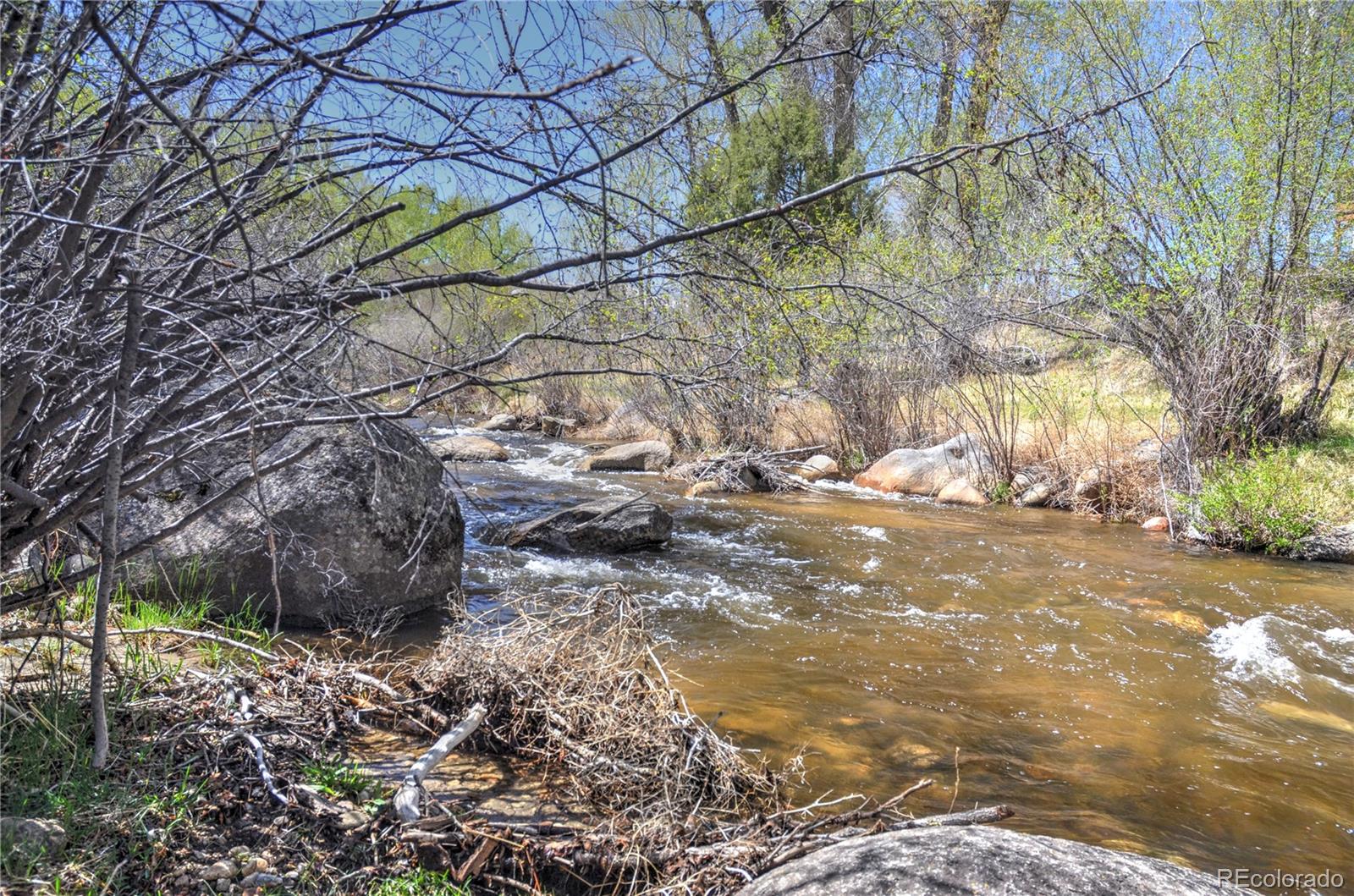 MLS Image #38 for 108  creekside court,buena vista, Colorado
