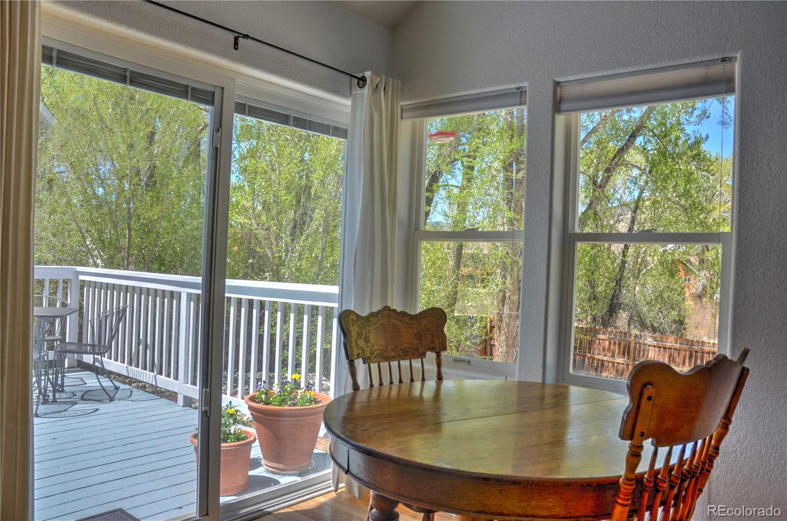 MLS Image #9 for 108  creekside court,buena vista, Colorado