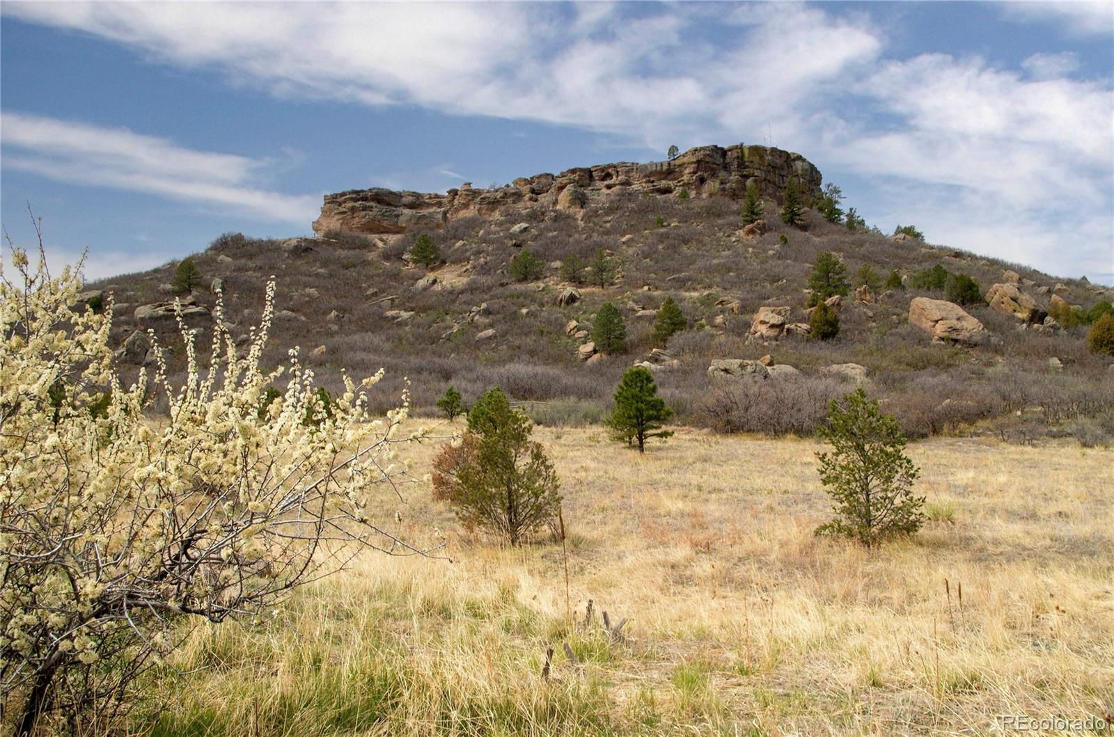 MLS Image #38 for 419  dawson drive,castle rock, Colorado