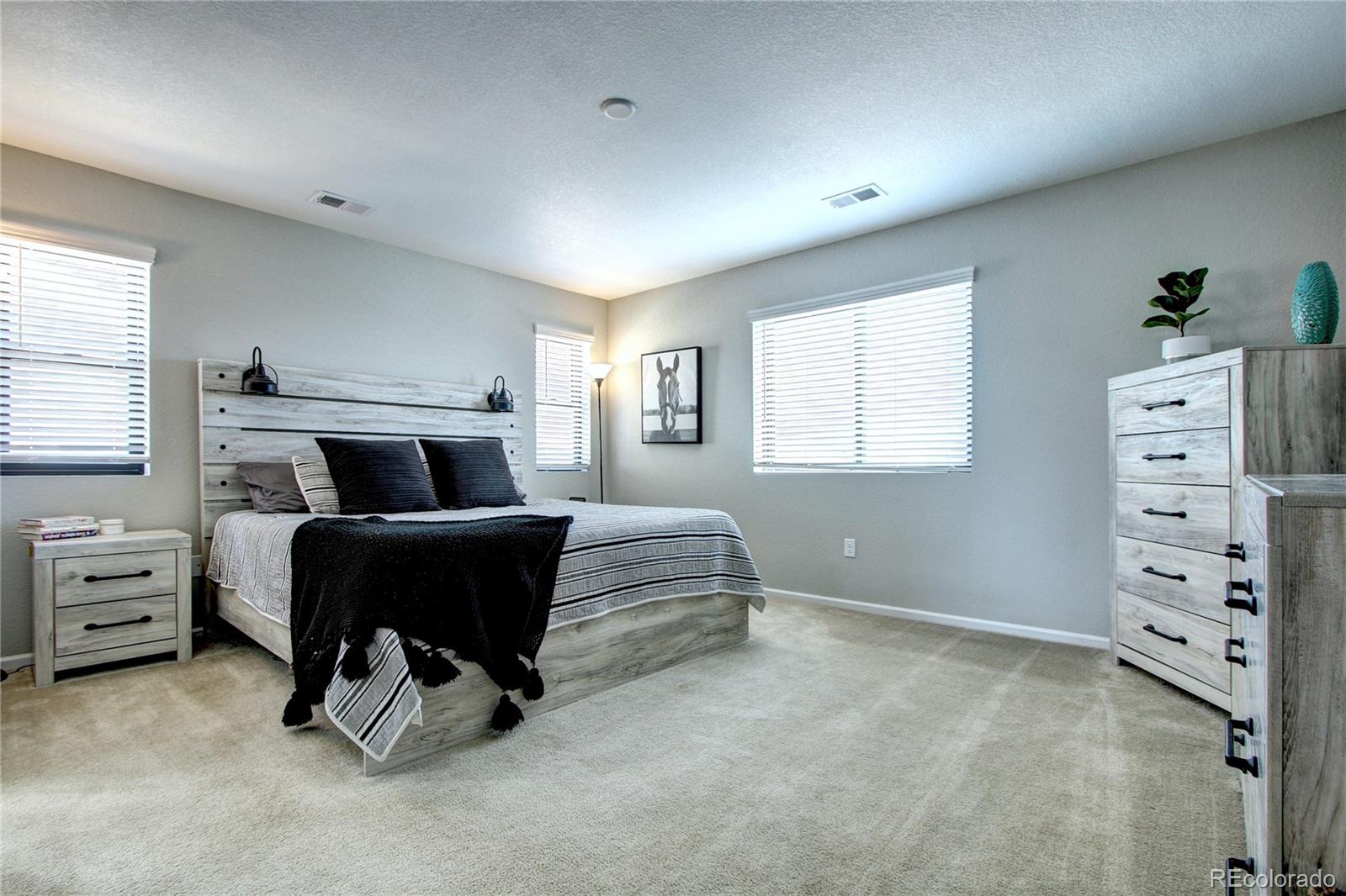 MLS Image #19 for 18020 e 100th avenue,commerce city, Colorado
