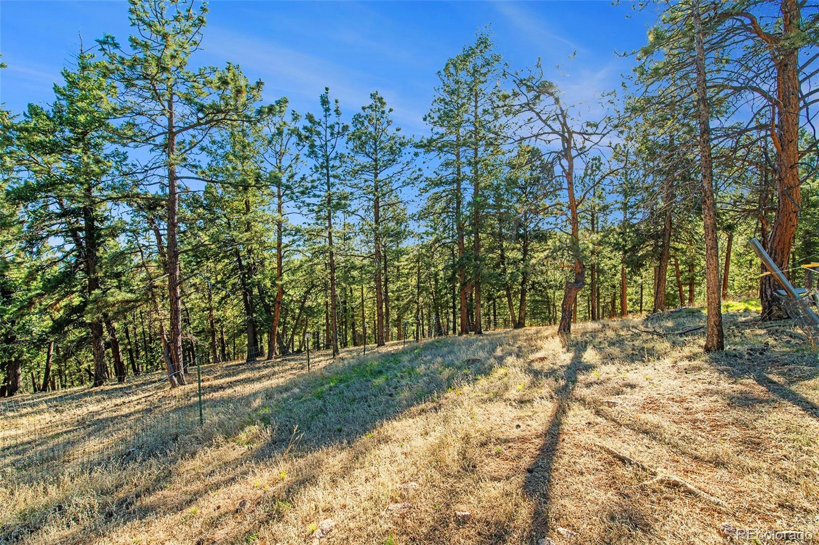 MLS Image #23 for 416  road d ,pine, Colorado