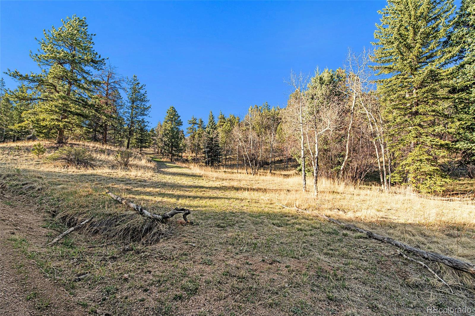 MLS Image #25 for 416  road d ,pine, Colorado