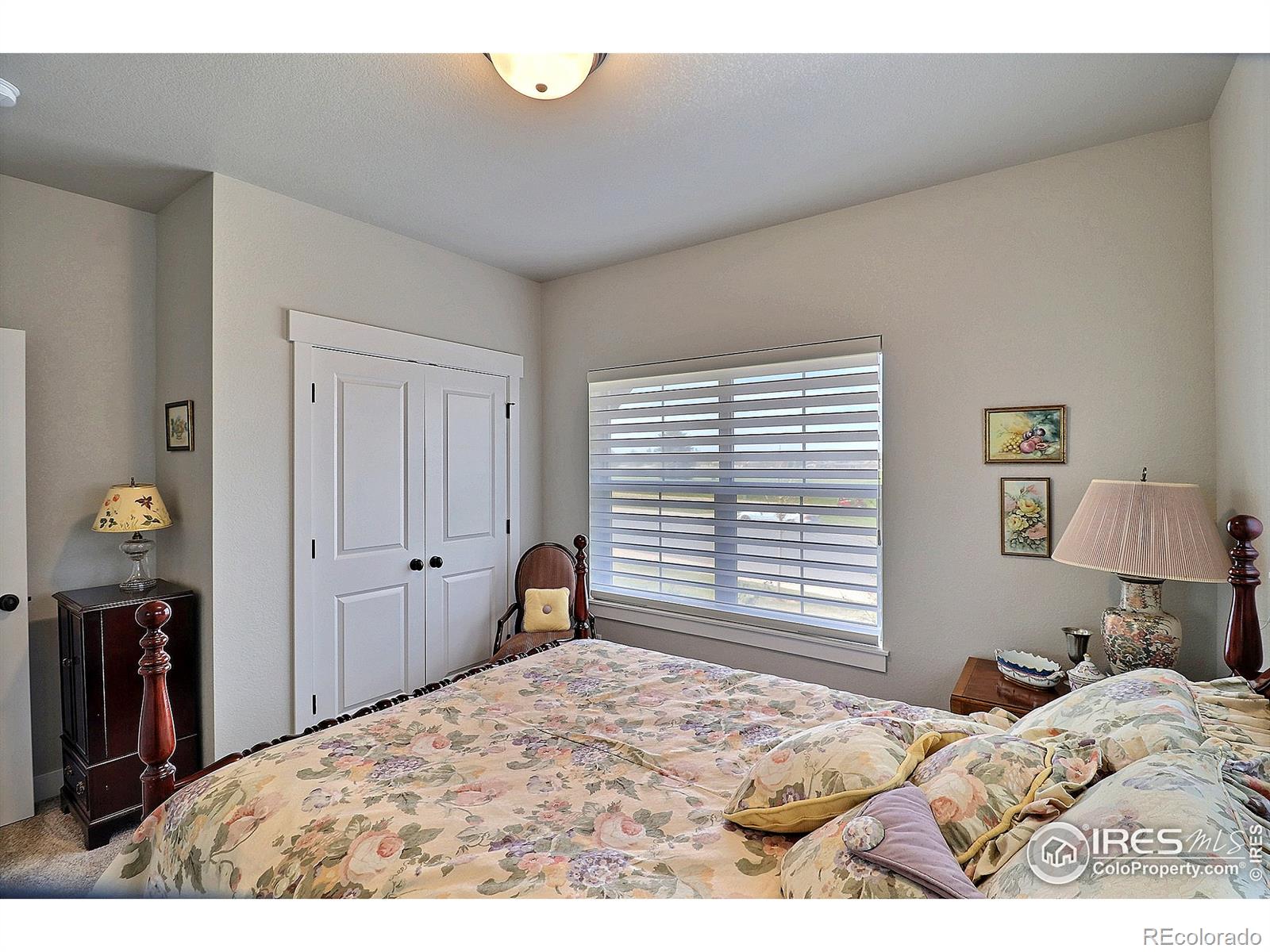 MLS Image #24 for 6634  crystal downs drive,windsor, Colorado