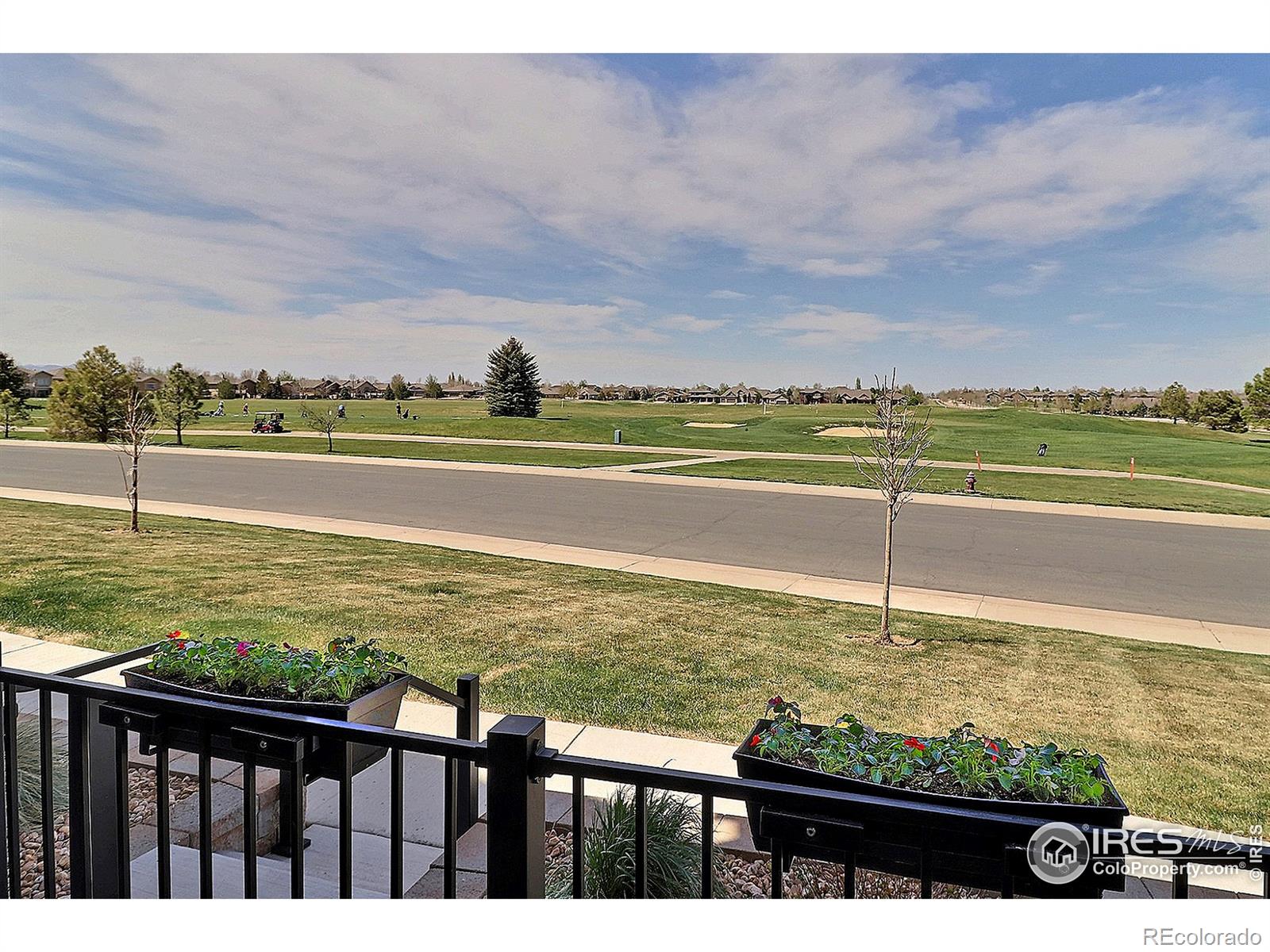 MLS Image #32 for 6634  crystal downs drive,windsor, Colorado