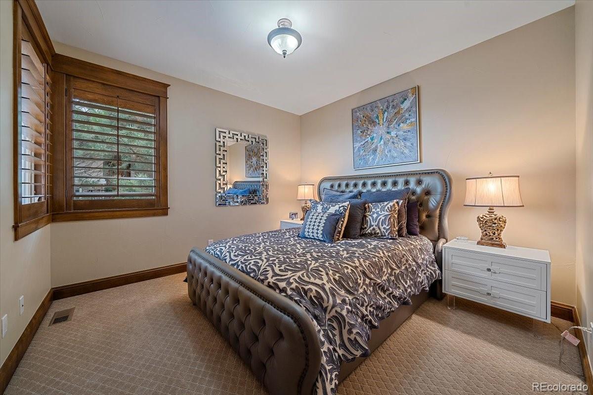 MLS Image #20 for 1254  buffalo ridge road,castle pines, Colorado
