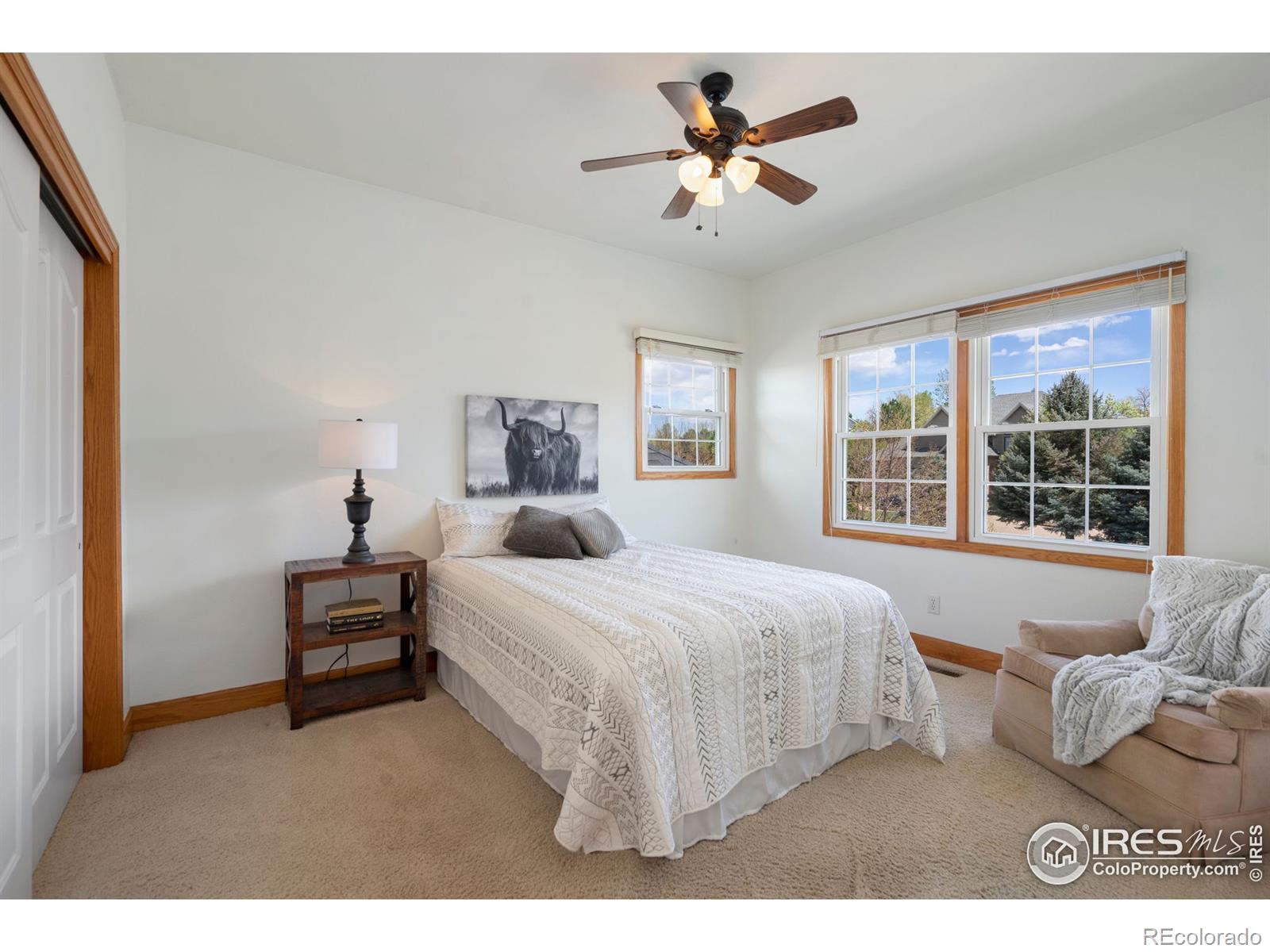 MLS Image #20 for 1306  streamside court,fort collins, Colorado