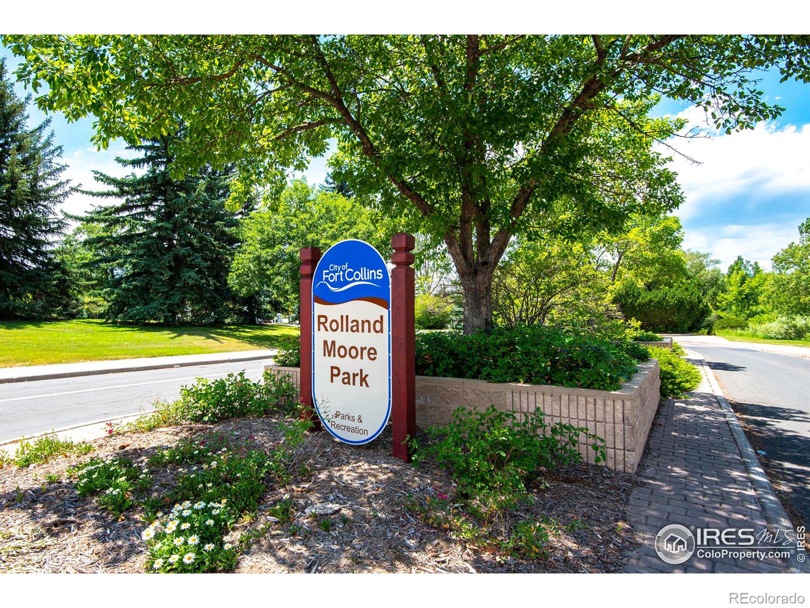MLS Image #19 for 3531  windmill drive,fort collins, Colorado
