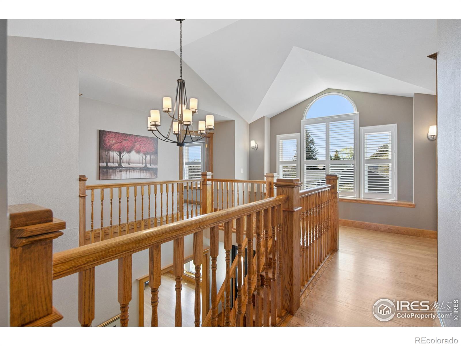 MLS Image #18 for 791 w mulberry street,louisville, Colorado
