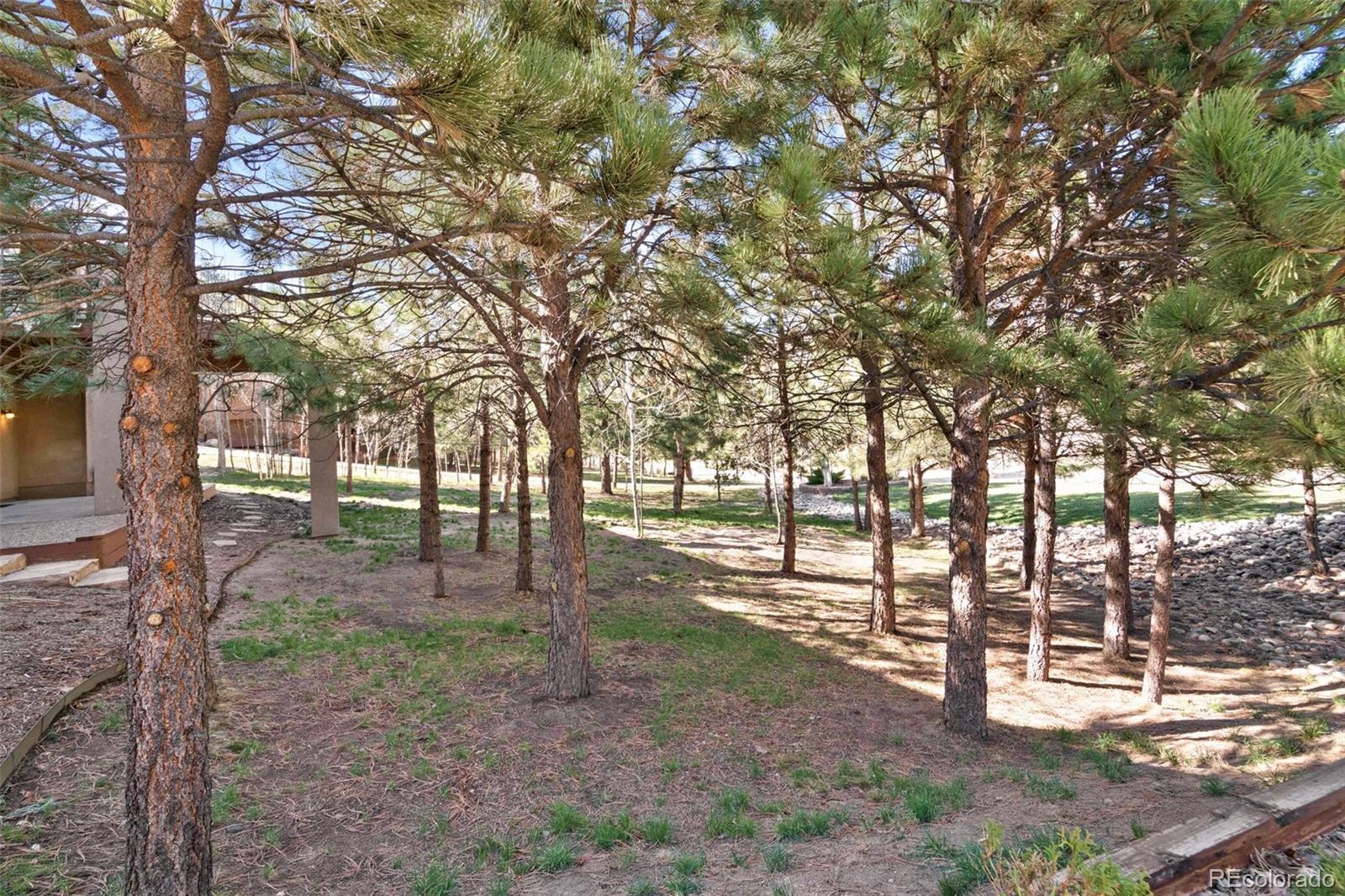 MLS Image #26 for 1063  greenland forest drive,monument, Colorado