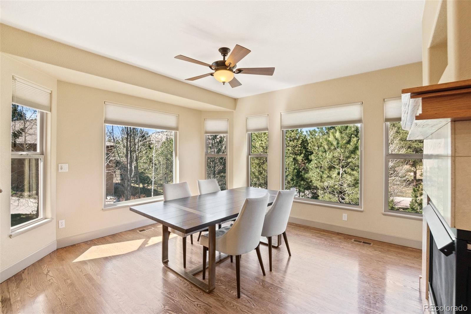 MLS Image #5 for 1063  greenland forest drive,monument, Colorado