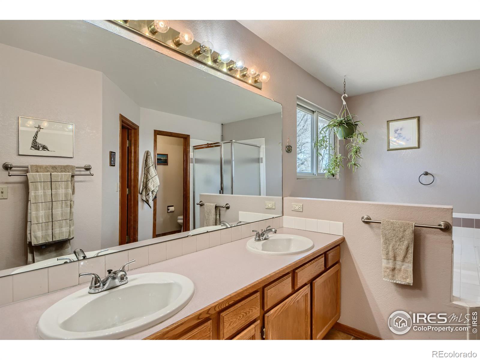 MLS Image #12 for 2007 e 129th avenue,thornton, Colorado
