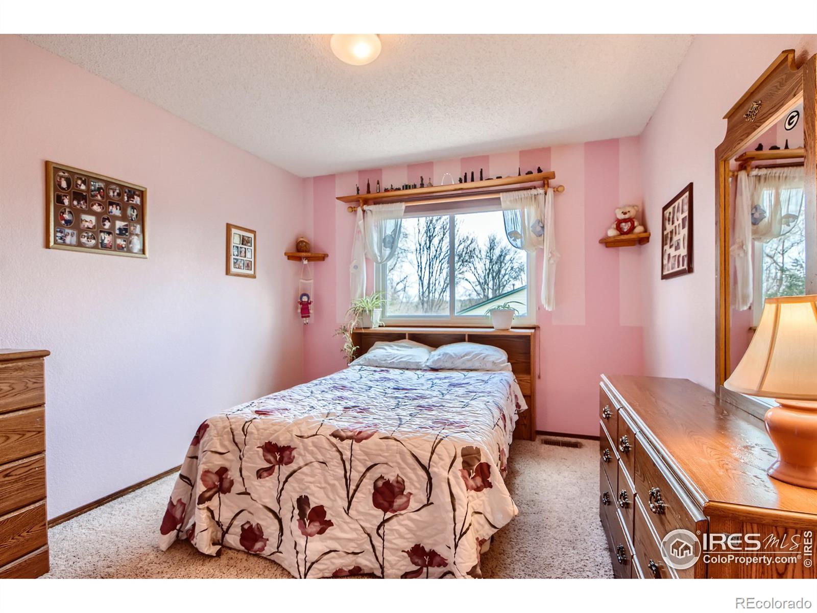 MLS Image #17 for 2007 e 129th avenue,thornton, Colorado