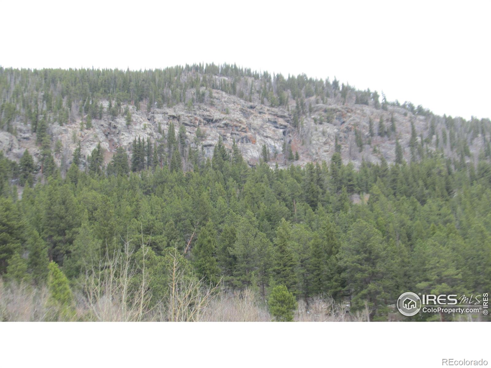 MLS Image #31 for 265  eldorado avenue,nederland, Colorado