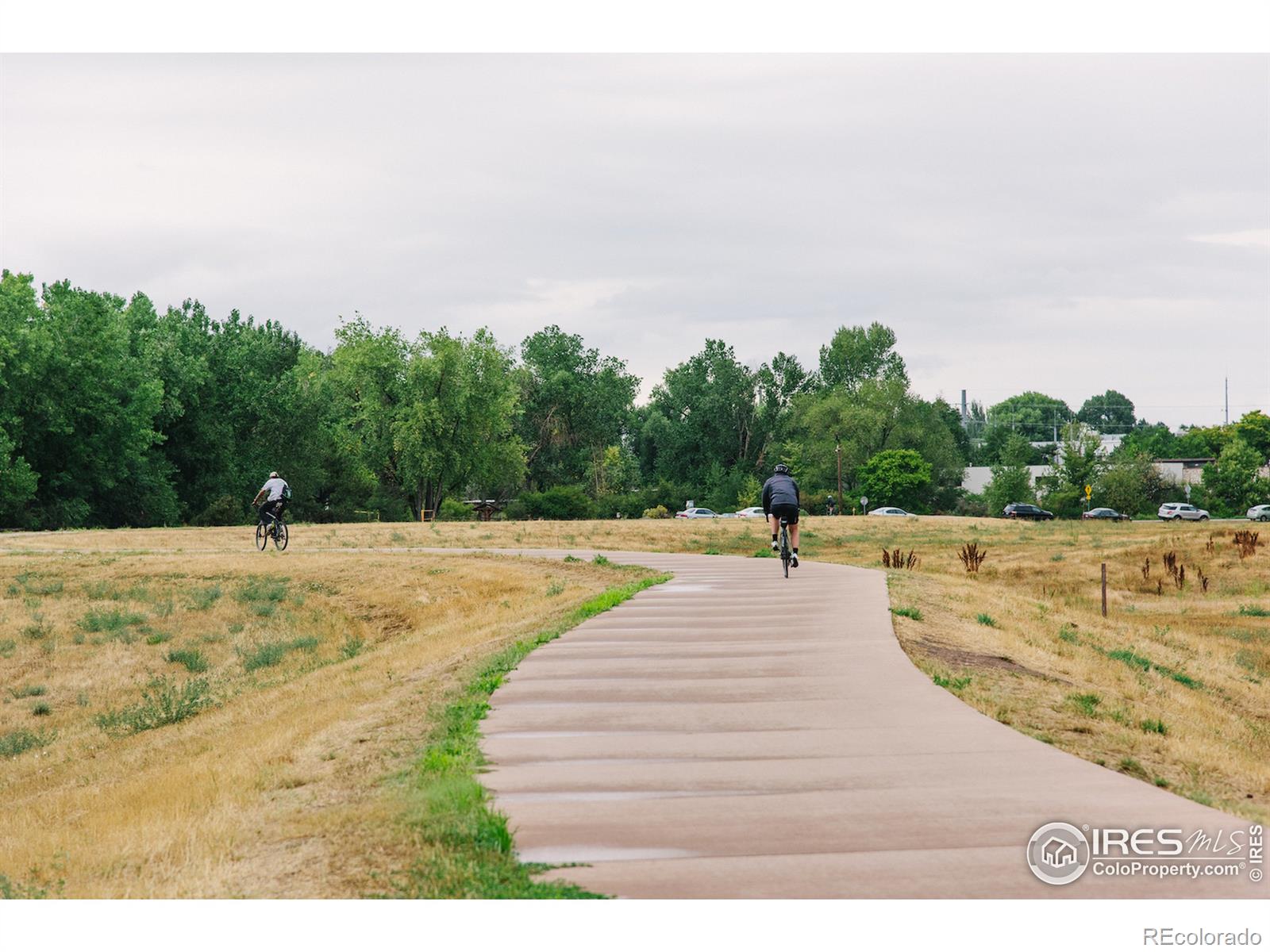 MLS Image #35 for 405  mason court,fort collins, Colorado