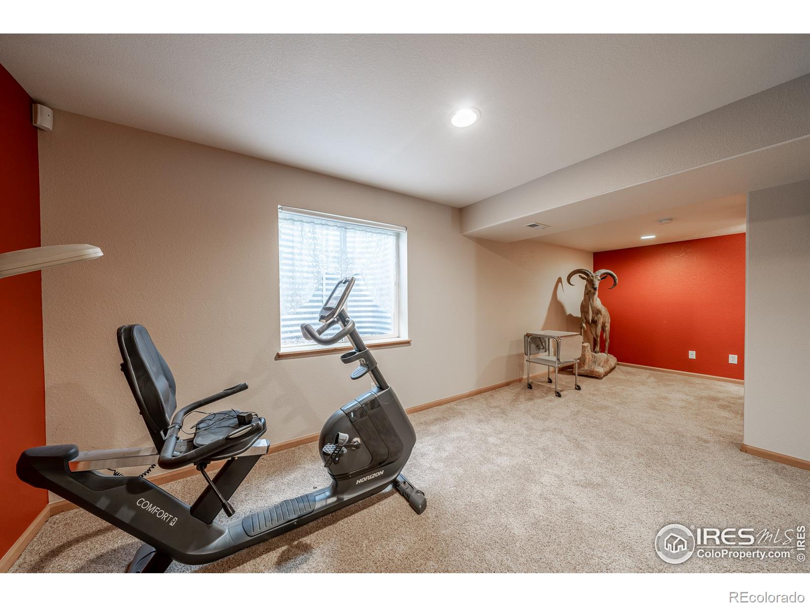 MLS Image #21 for 3106  54th avenue,greeley, Colorado