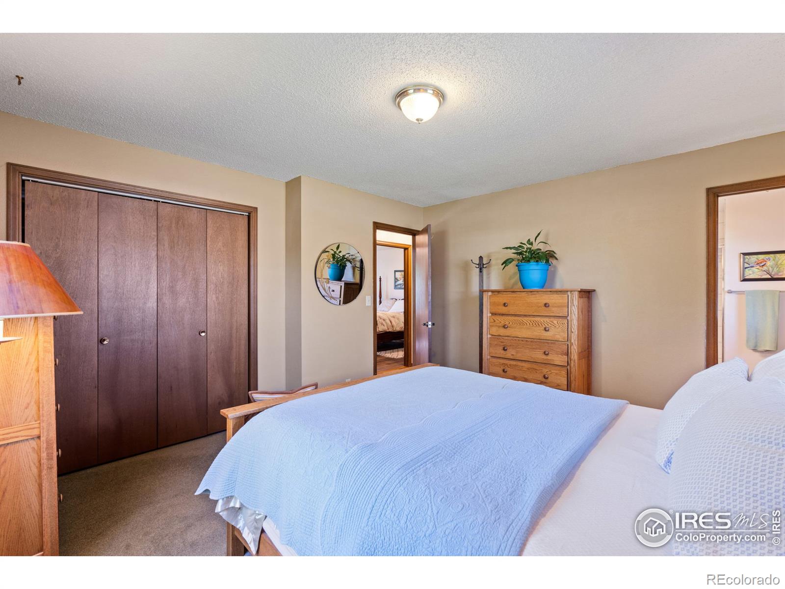 MLS Image #16 for 1028  harrison avenue,loveland, Colorado