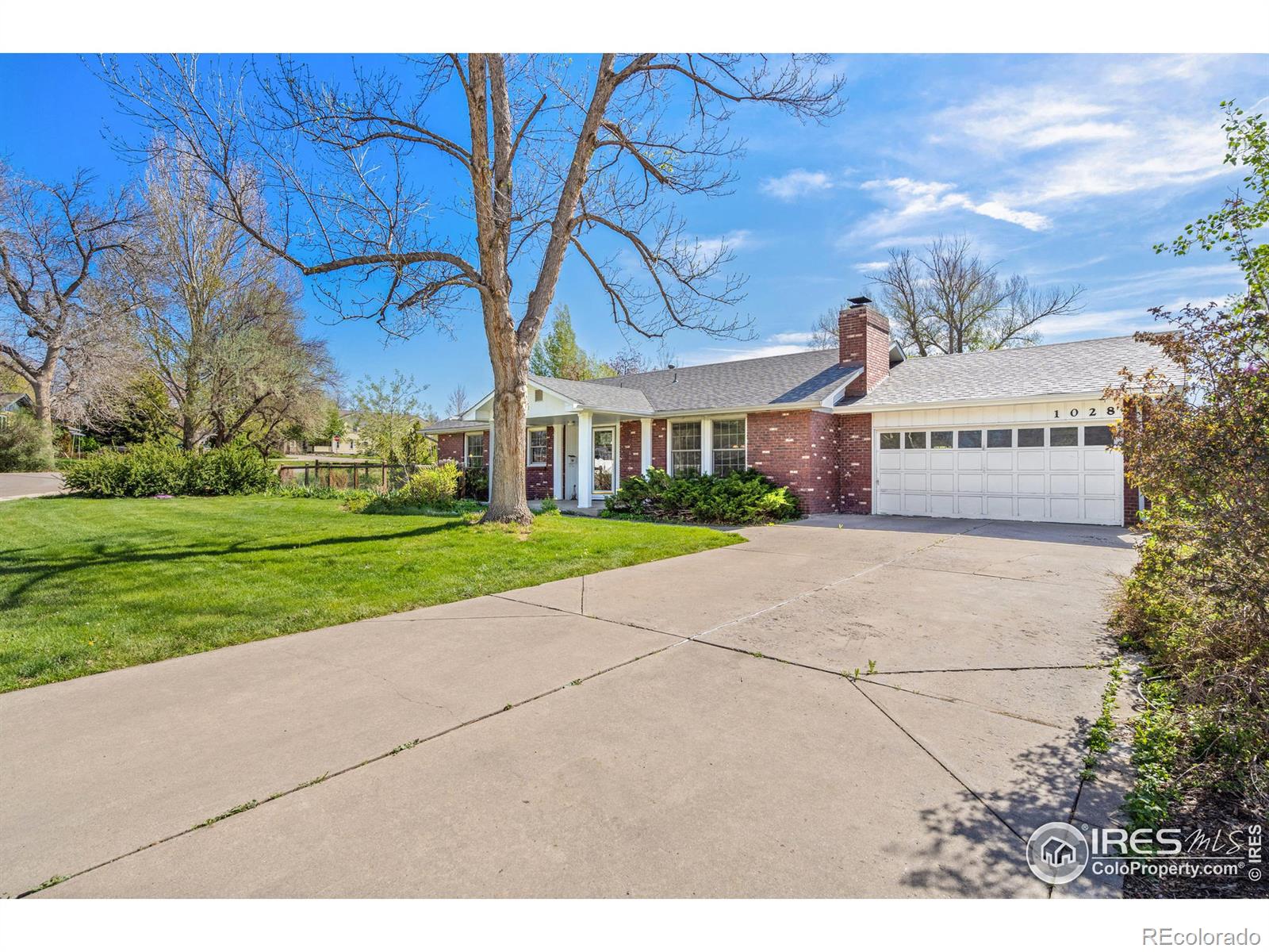 MLS Image #2 for 1028  harrison avenue,loveland, Colorado