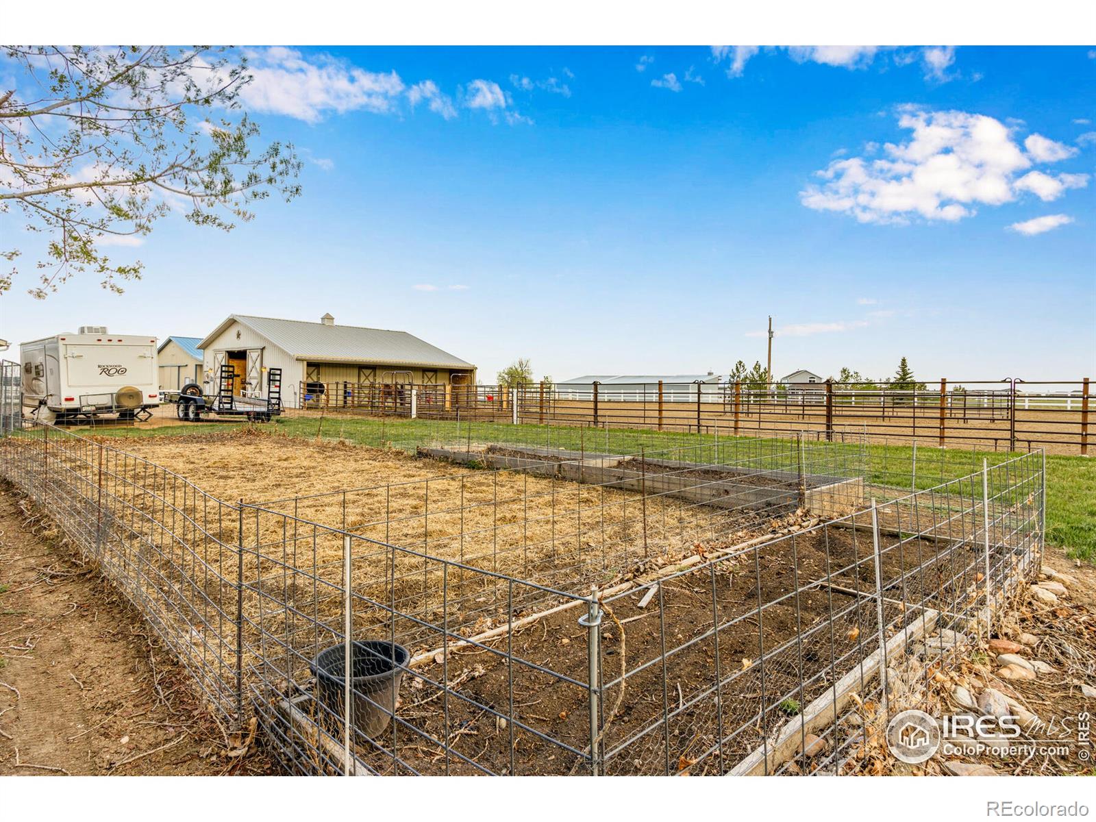 MLS Image #14 for 4719  levi court,loveland, Colorado