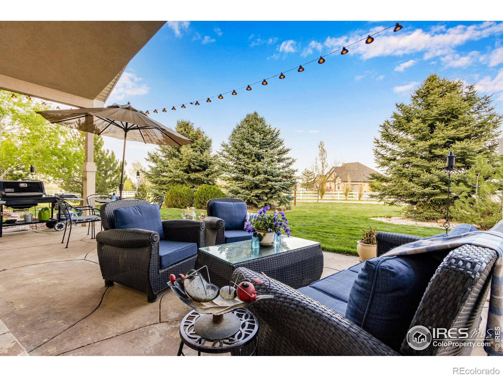 MLS Image #5 for 4719  levi court,loveland, Colorado