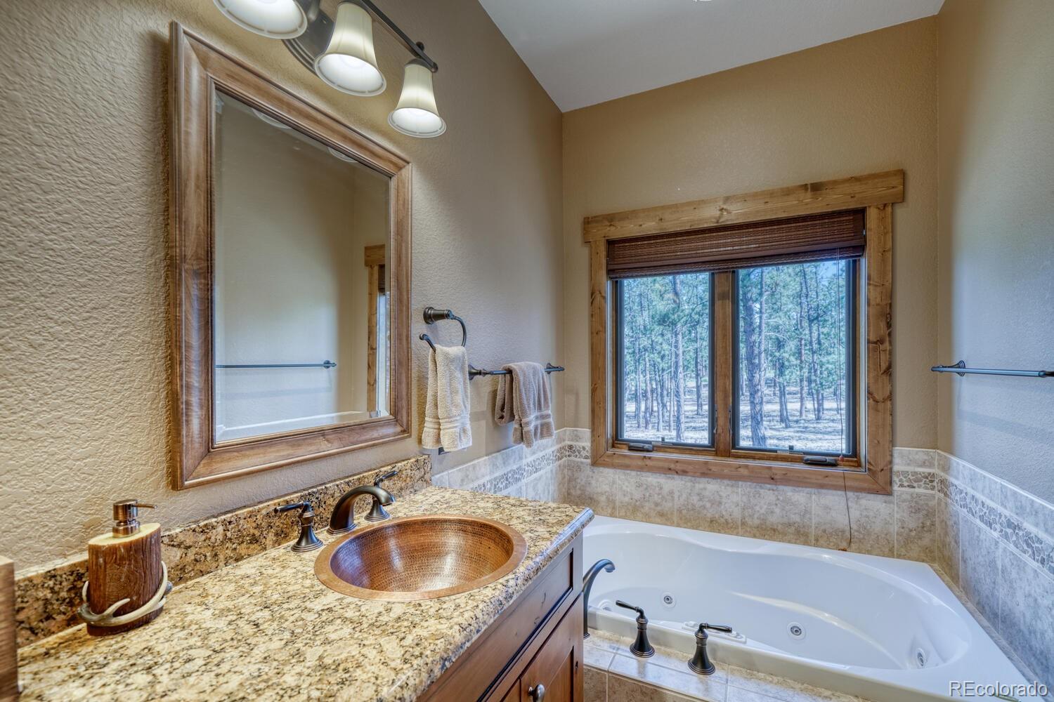 MLS Image #20 for 16103  pine grove parkway,buena vista, Colorado