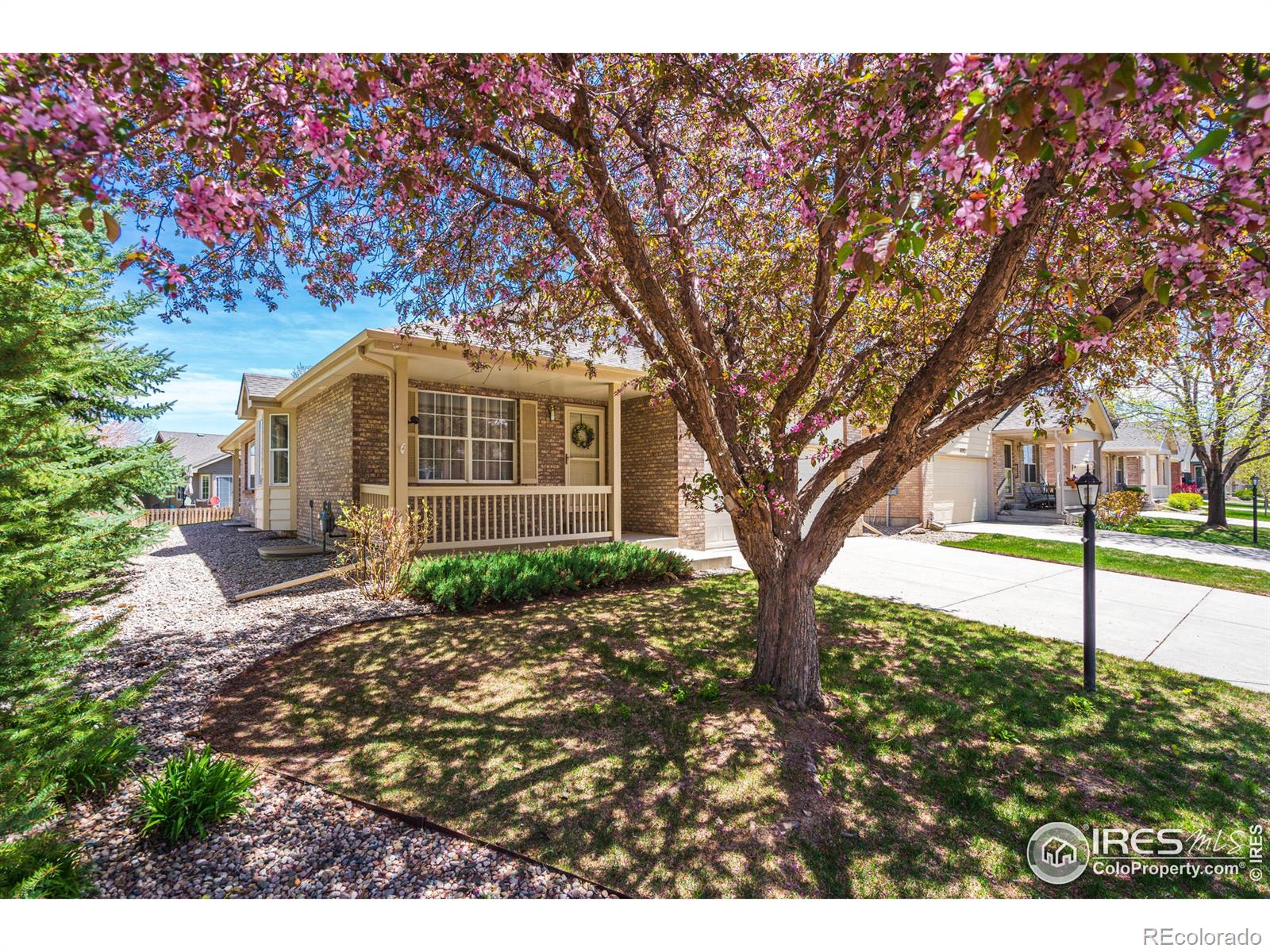 MLS Image #1 for 4068  penrose avenue,loveland, Colorado