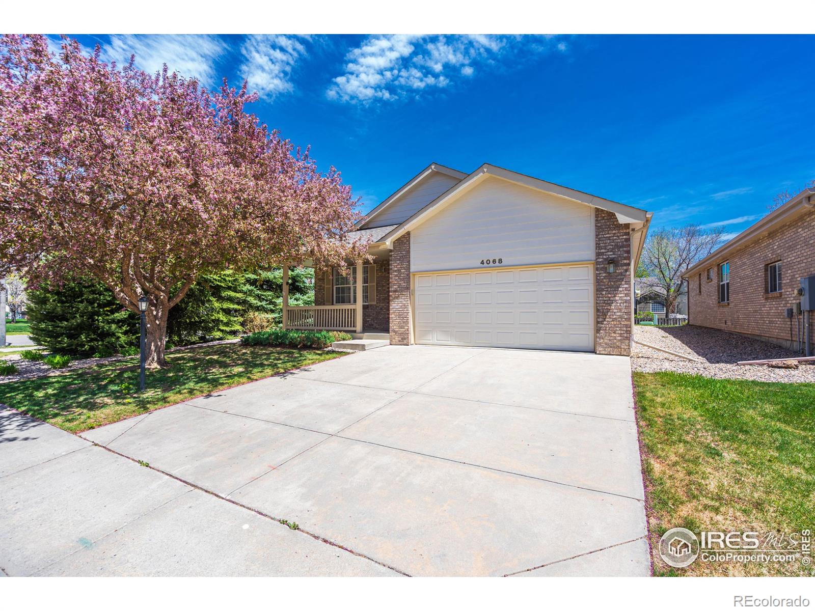 MLS Image #29 for 4068  penrose avenue,loveland, Colorado