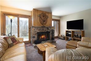 MLS Image #0 for 89200  ryan gulch road,silverthorne, Colorado