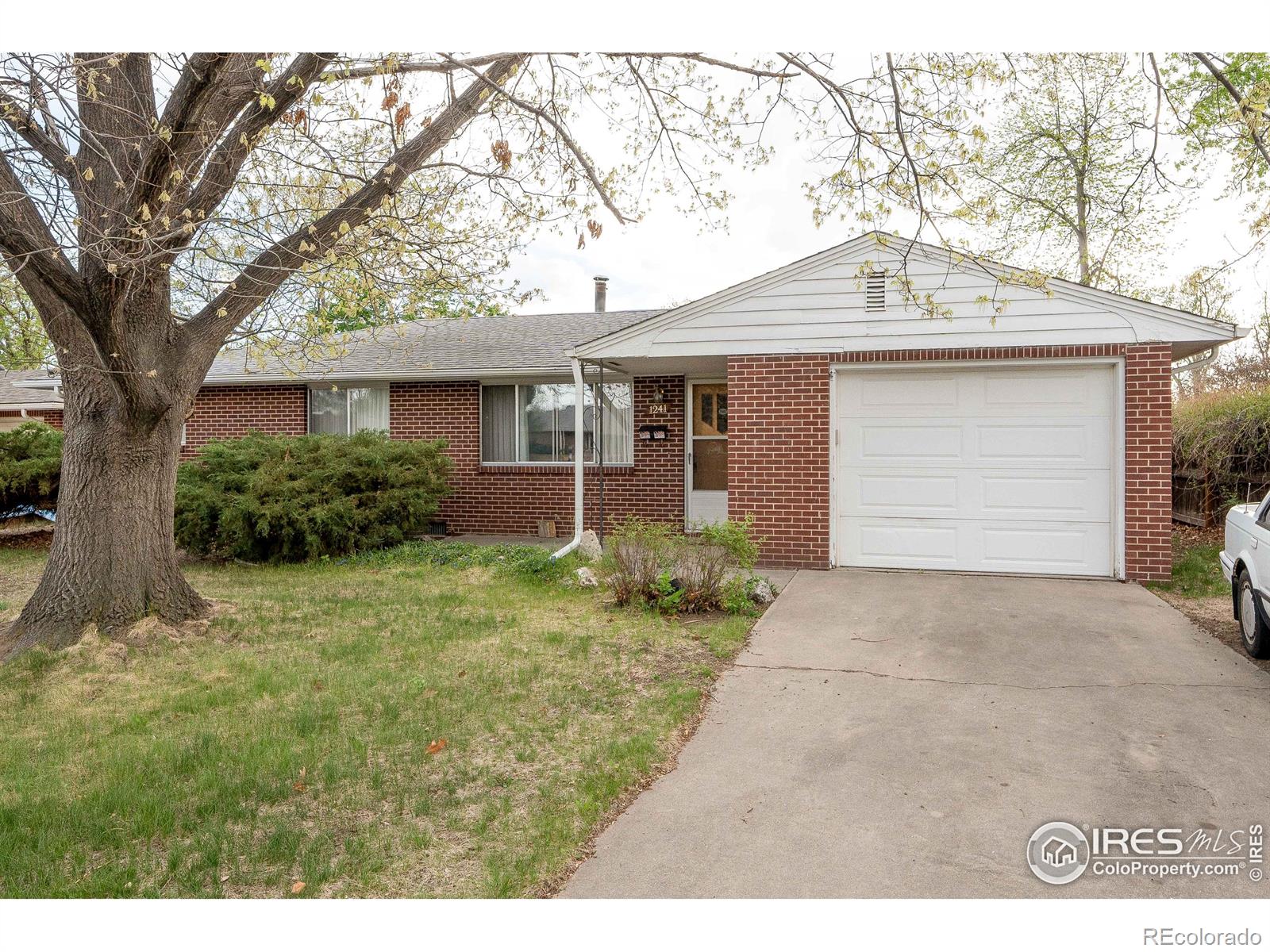 Report Image for 1241  Vivian Street,Longmont, Colorado