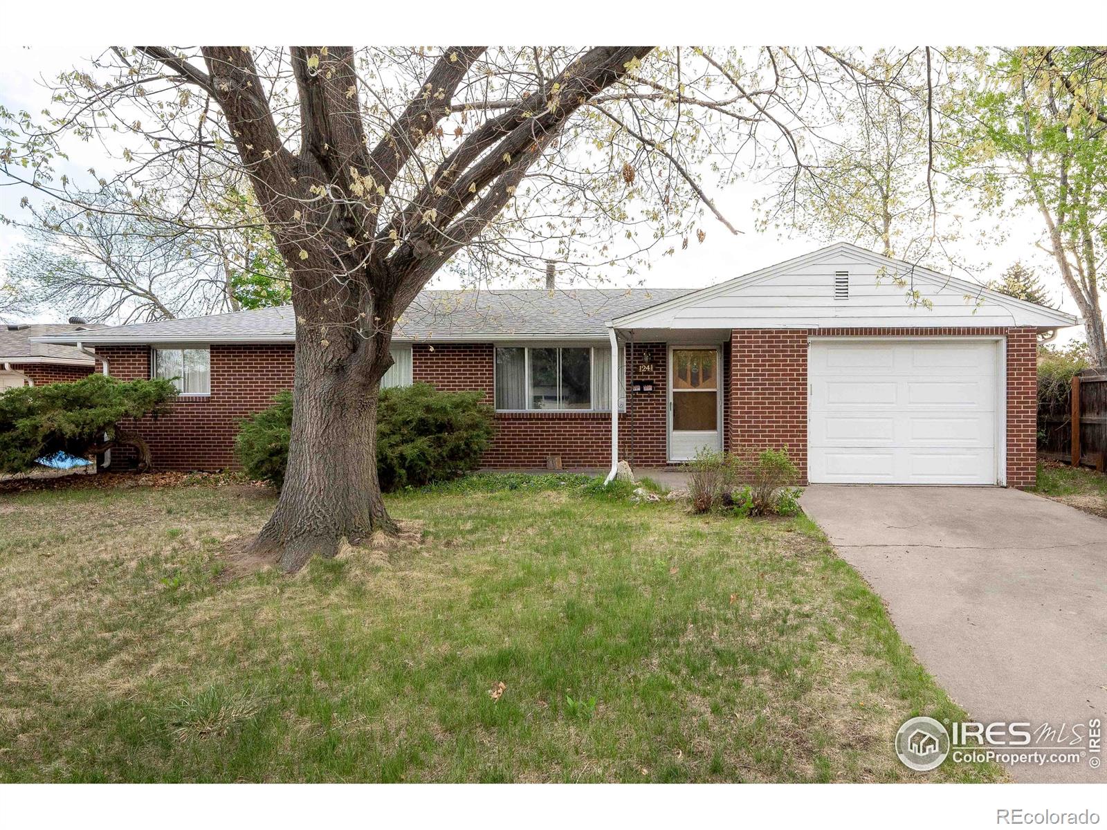 MLS Image #2 for 1241  vivian street,longmont, Colorado