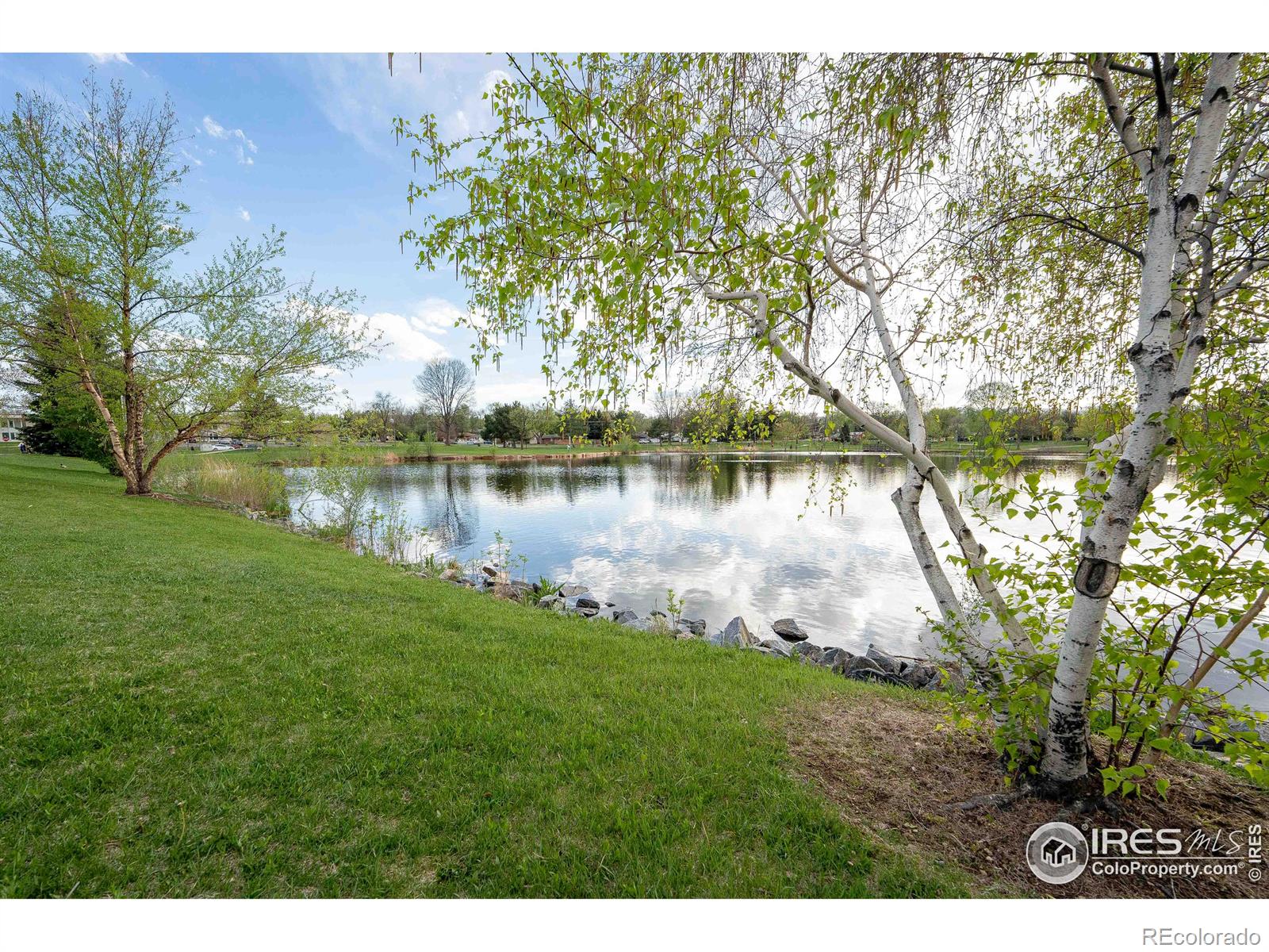 MLS Image #20 for 1241  vivian street,longmont, Colorado