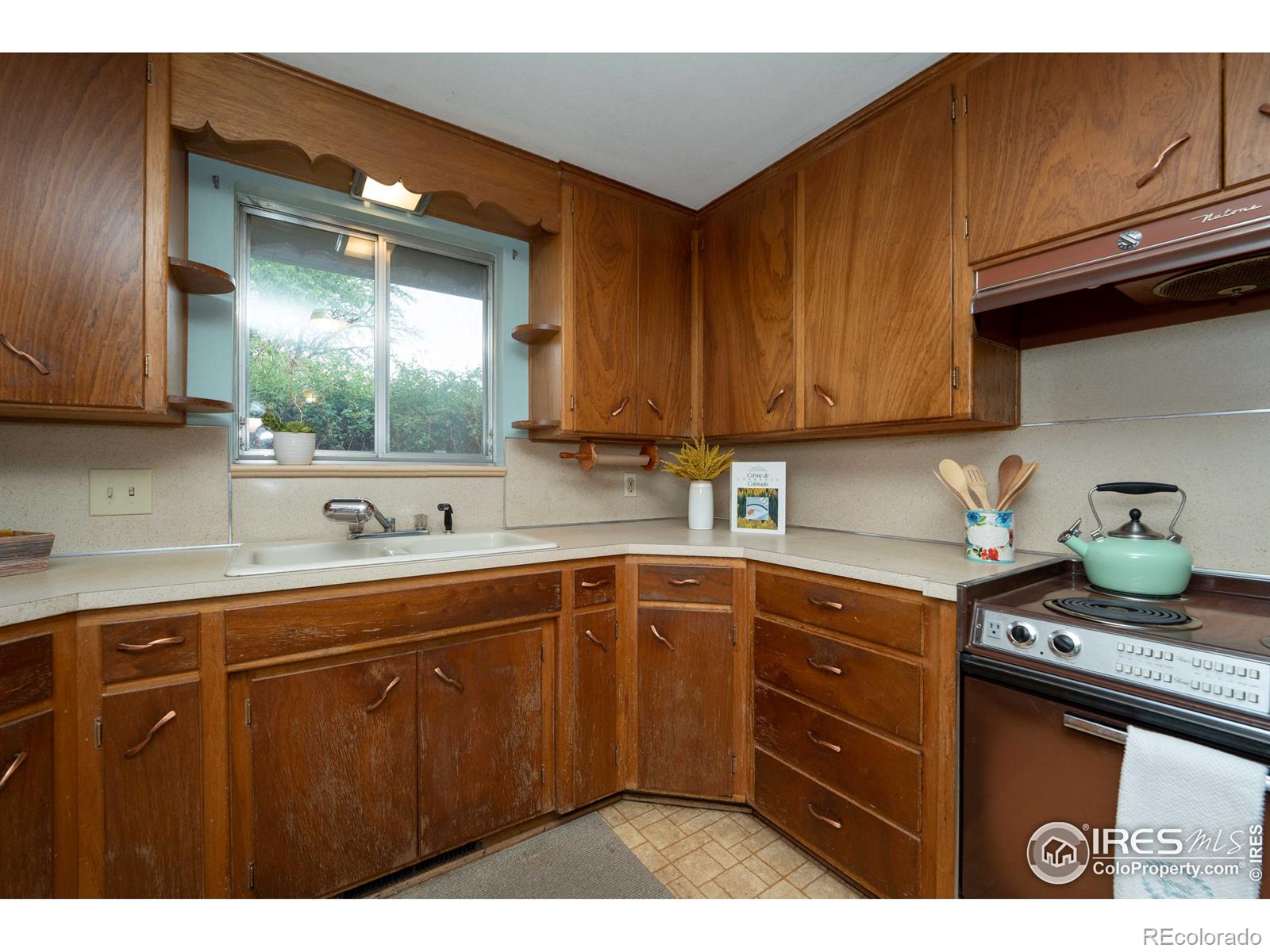 MLS Image #8 for 1241  vivian street,longmont, Colorado