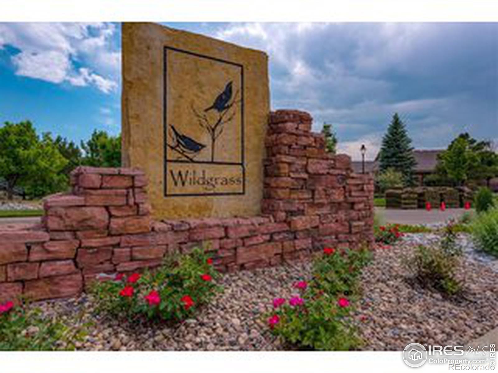 MLS Image #22 for 4822  raven run,broomfield, Colorado