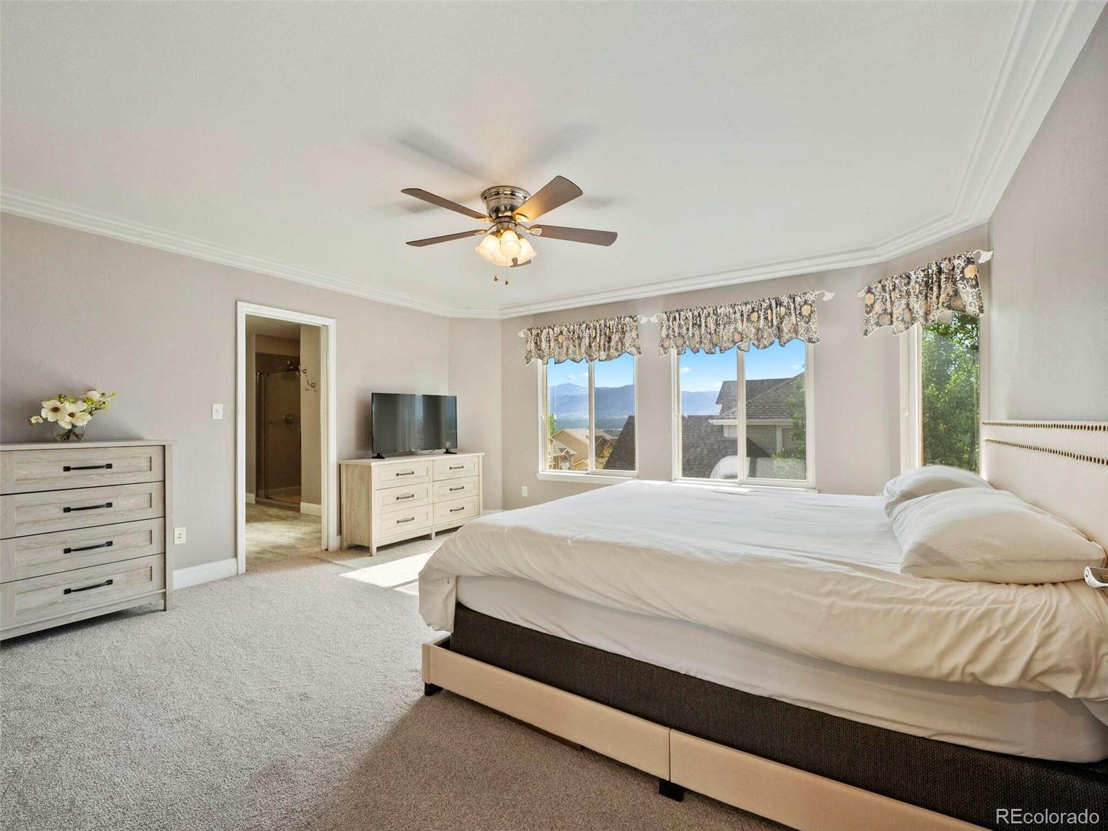 MLS Image #21 for 12676  brookhill drive,colorado springs, Colorado