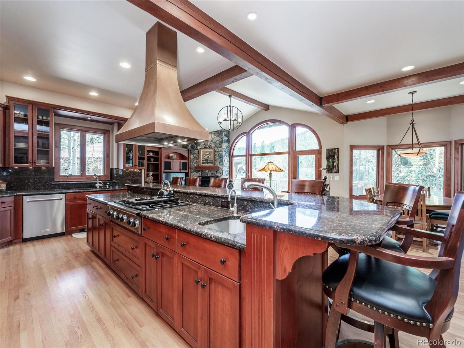MLS Image #15 for 4269  wild flower court,evergreen, Colorado