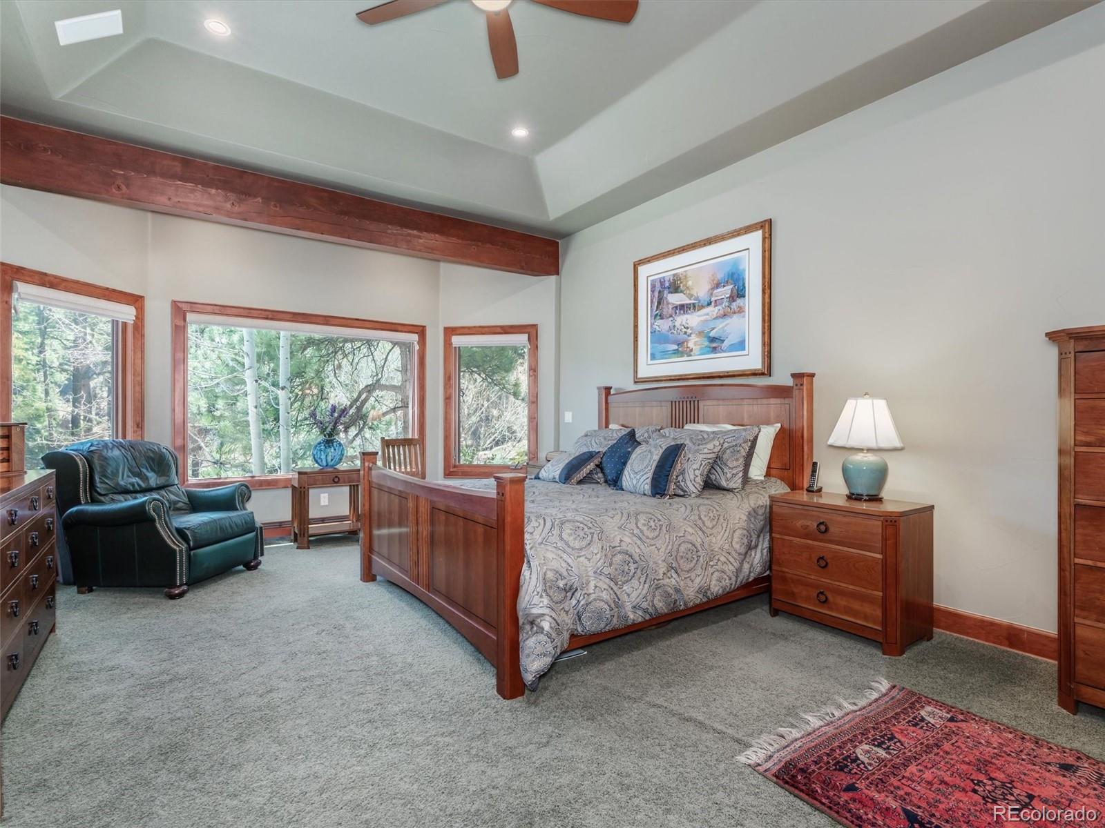 MLS Image #19 for 4269  wild flower court,evergreen, Colorado