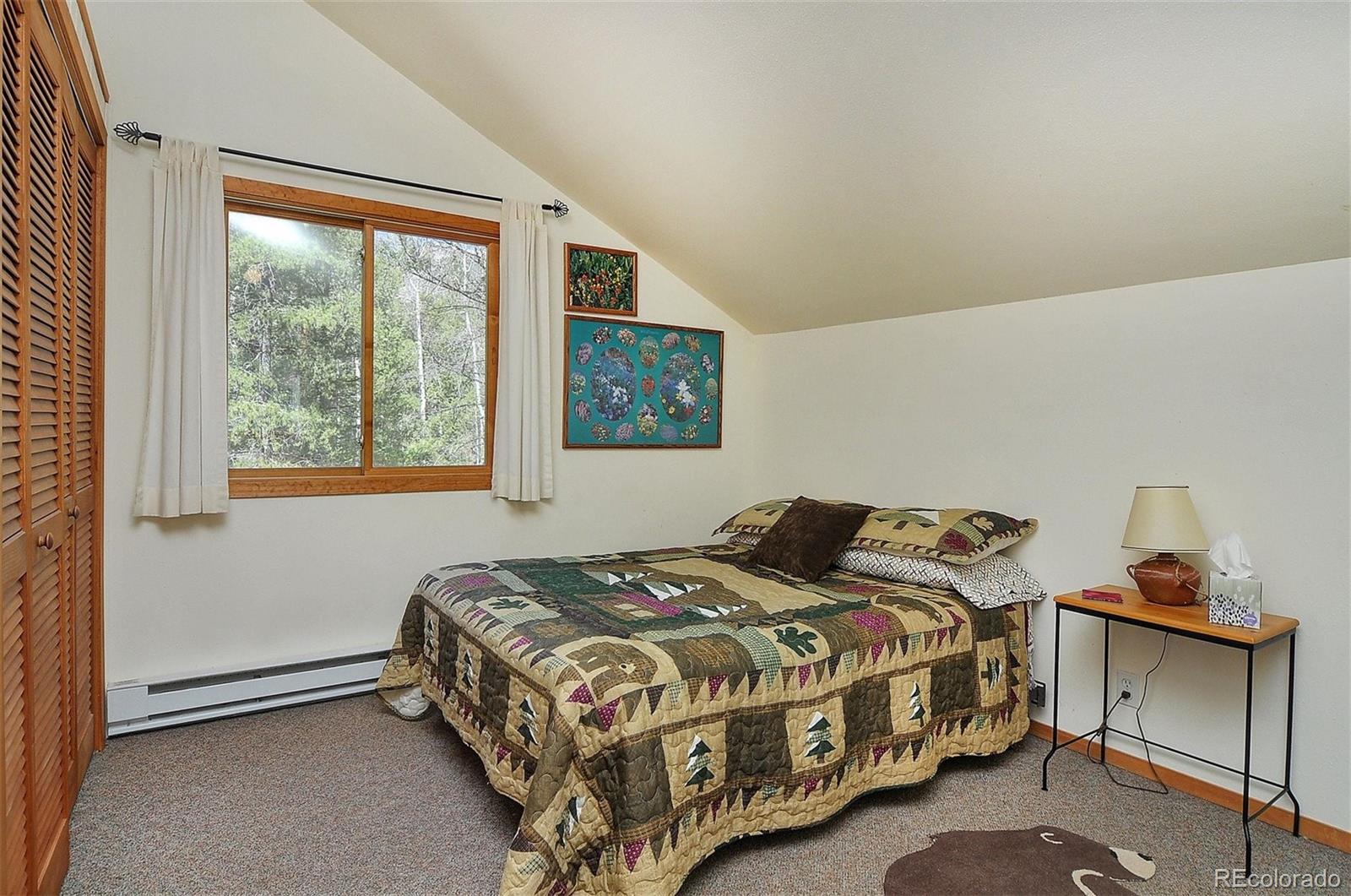 MLS Image #17 for 22665  county road 292a ,nathrop, Colorado