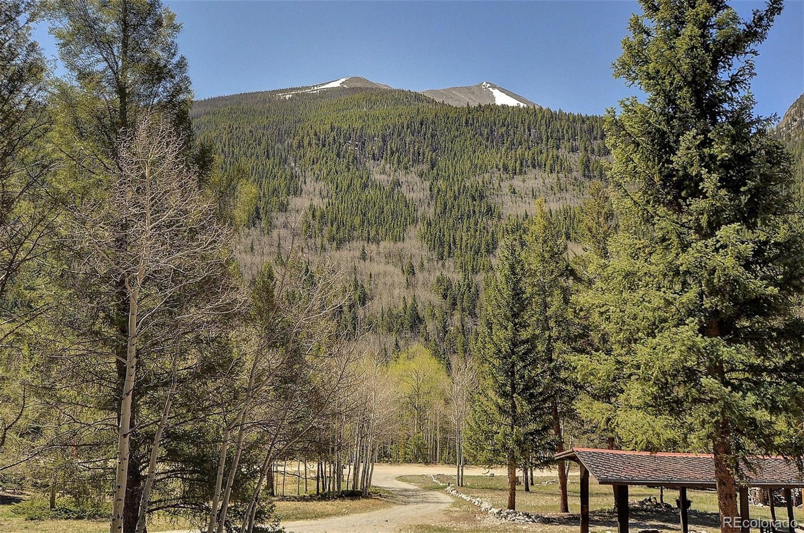 MLS Image #24 for 22665  county road 292a ,nathrop, Colorado