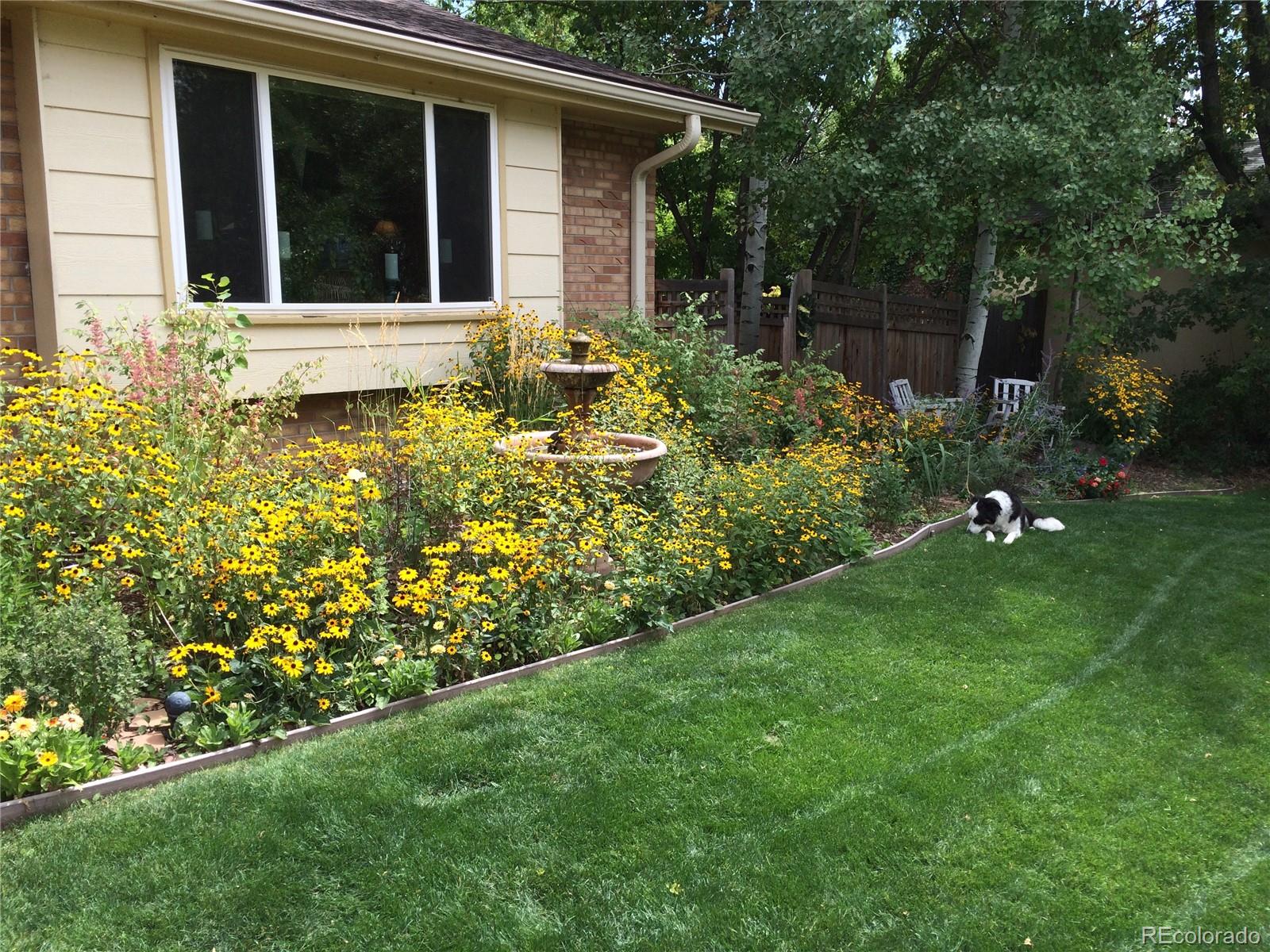 MLS Image #4 for 6812  garland street,arvada, Colorado