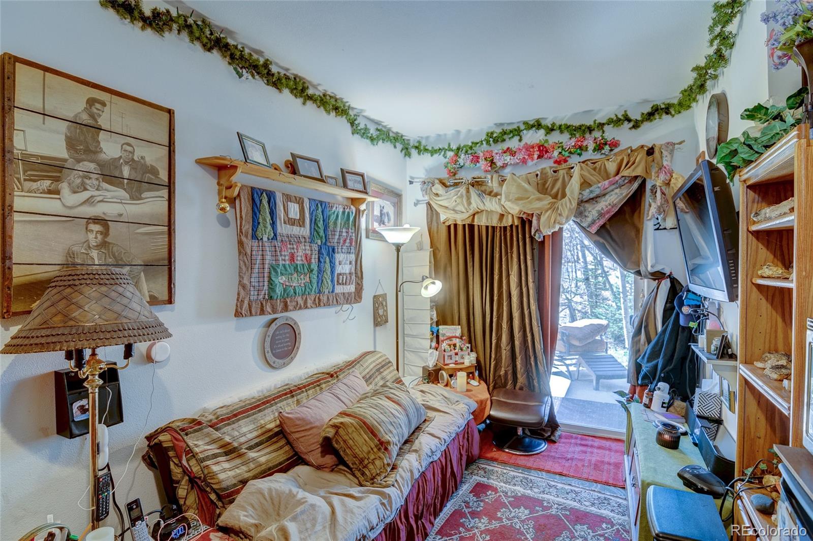 MLS Image #28 for 905 n vernon drive,central city, Colorado