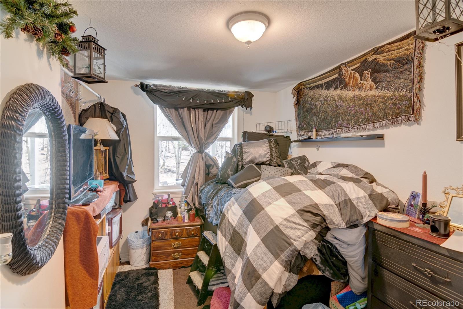 MLS Image #29 for 905 n vernon drive,central city, Colorado