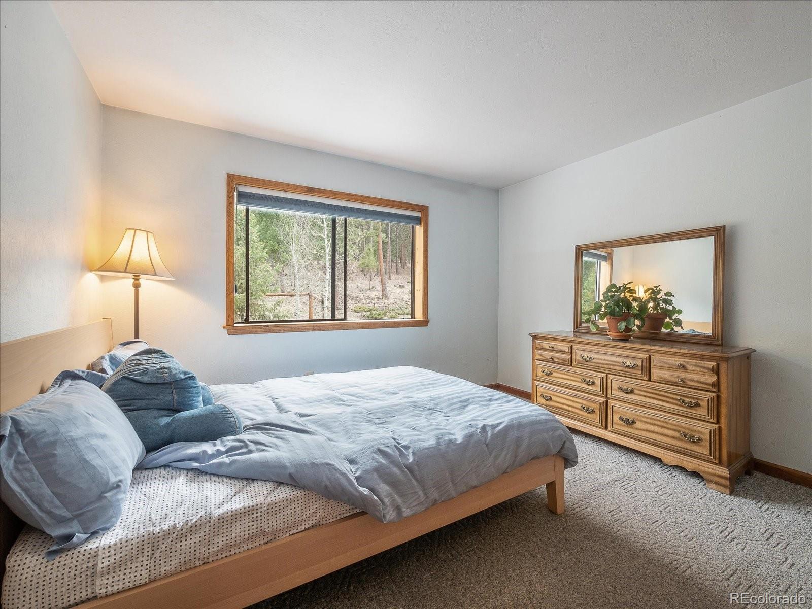 MLS Image #20 for 87  sparrow court,bailey, Colorado